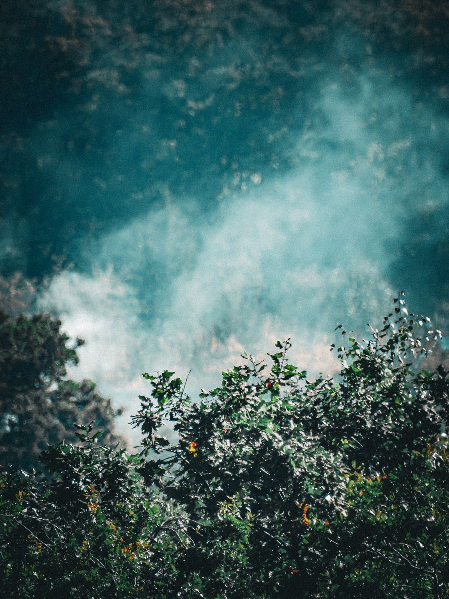 nicotine salt juice