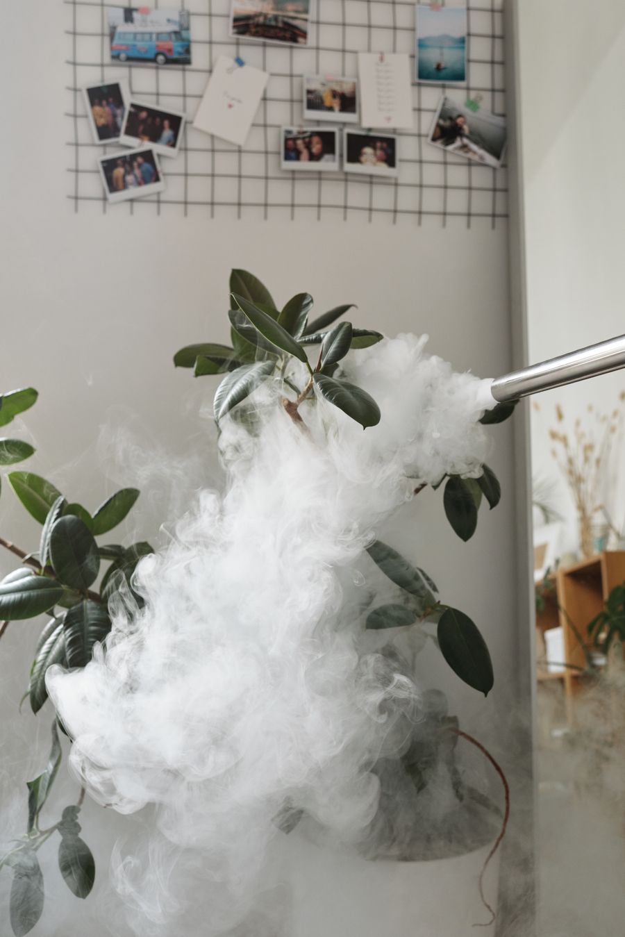 vape starter kit